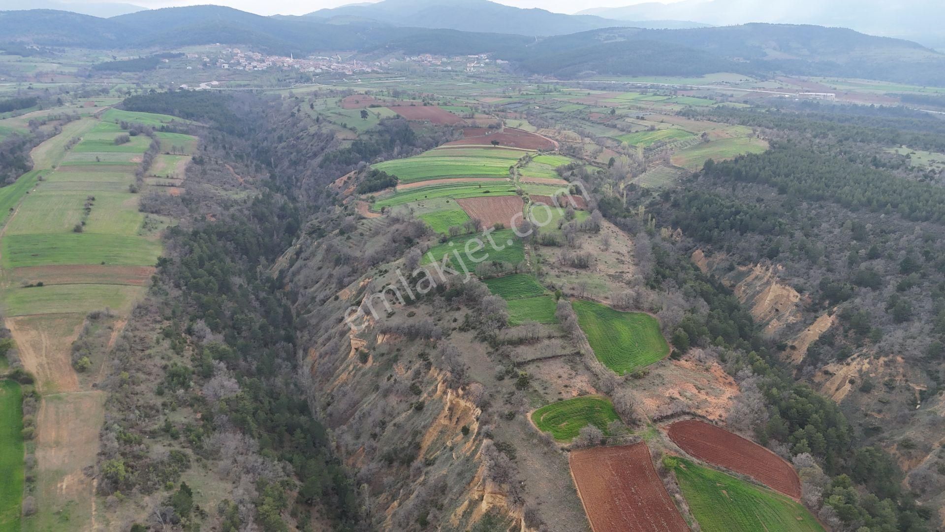 Konya / Doğanhisar / Kemer Mahallesinde 666 M² Müstakil Tapulu Tarla - Görsel 7