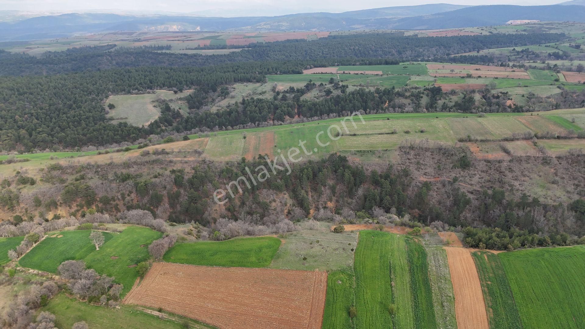 Konya / Doğanhisar / Kemer Mahallesinde 1.035 M² Müstakil Tapulu Tarla - Görsel 3