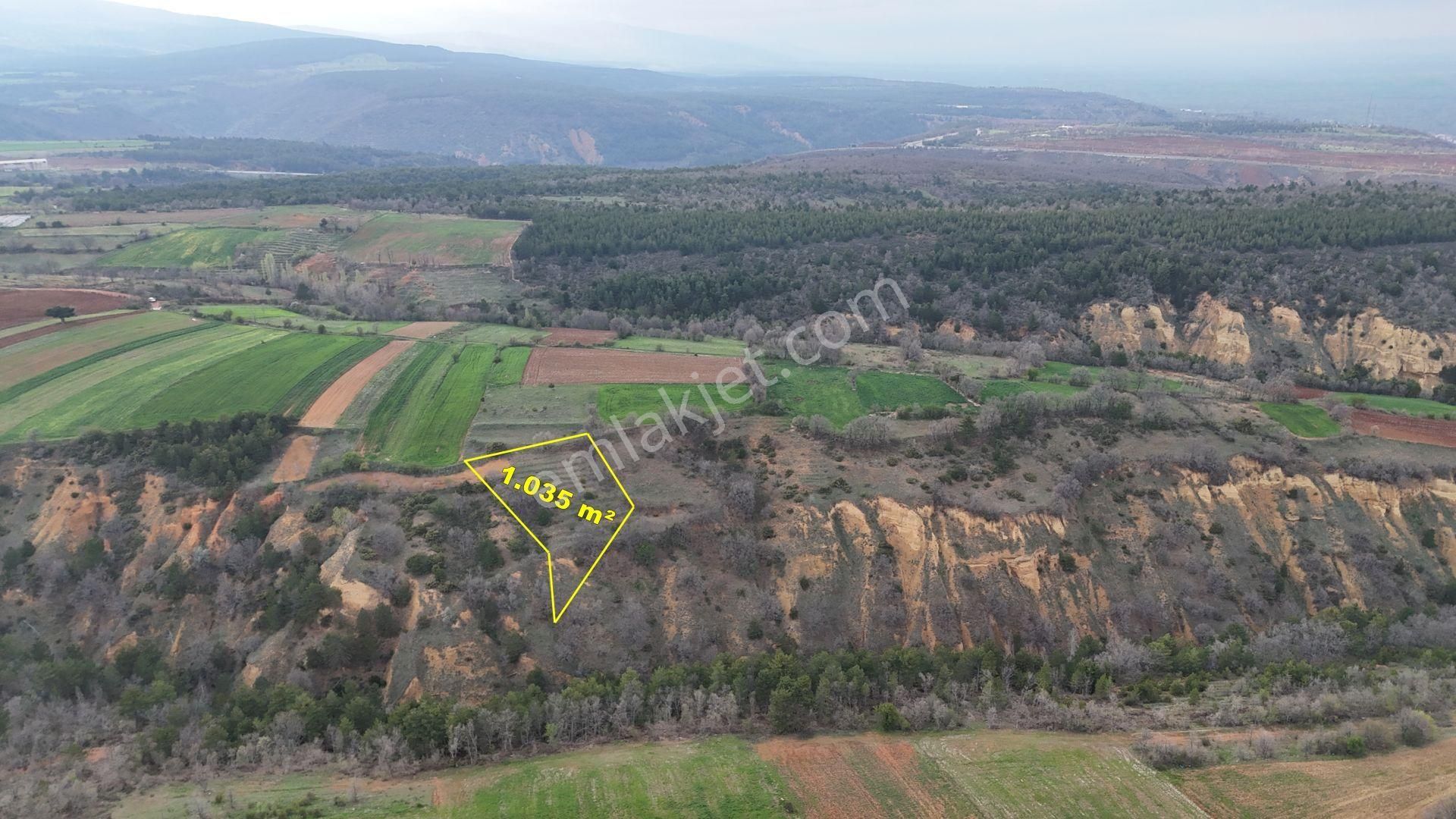Konya / Doğanhisar / Kemer Mahallesinde 1.035 M² Müstakil Tapulu Tarla - Görsel 5