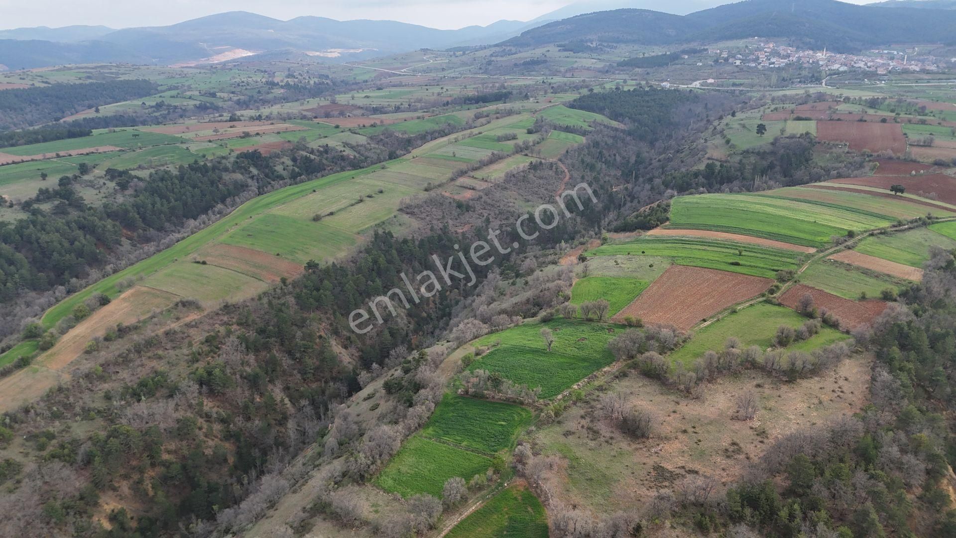 Konya / Doğanhisar / Kemer Mahallesinde 1.035 M² Müstakil Tapulu Tarla - Görsel 2