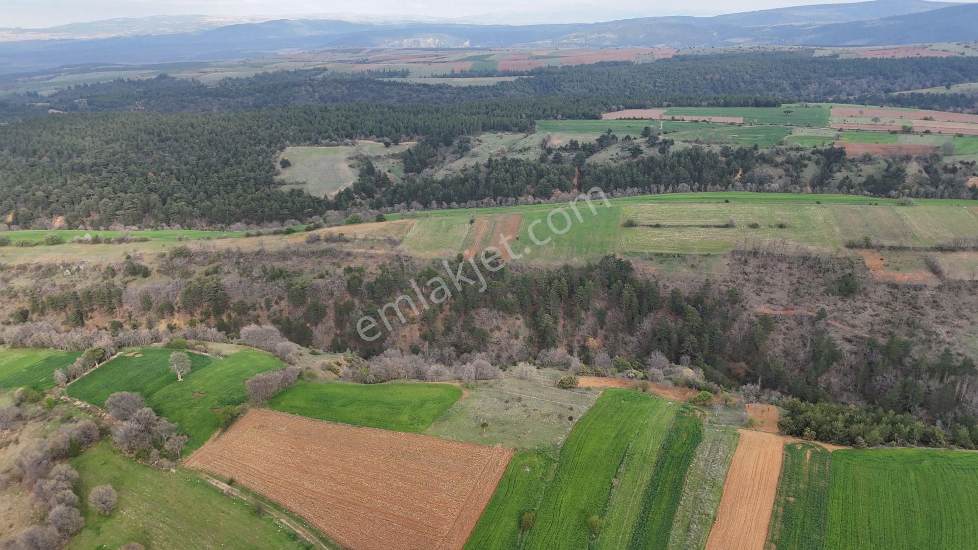 Konya / Doğanhisar / Kemer Mahallesinde 1.035 M² Müstakil Tapulu Tarla - Görsel 7