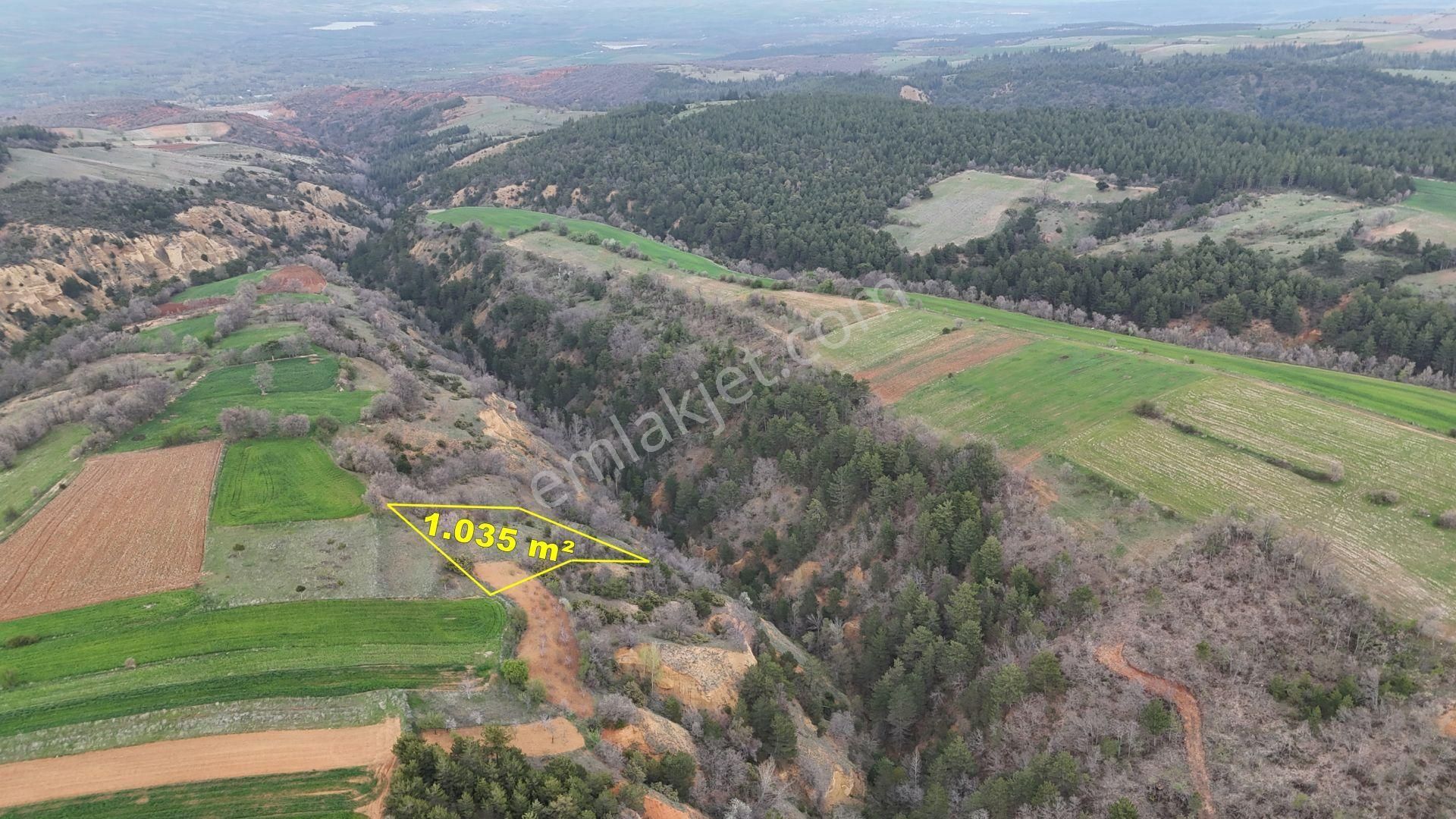 Konya / Doğanhisar / Kemer Mahallesinde 1.035 M² Müstakil Tapulu Tarla - Görsel 9