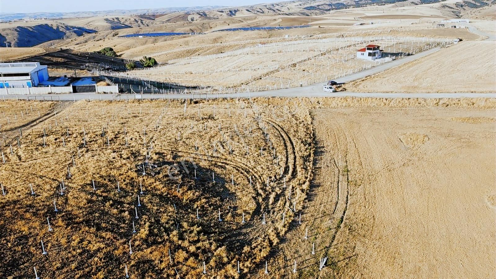 -*-teberik De Yol Kenarı Düzlük Te Kök Tapu Tarla-*- - Görsel 9