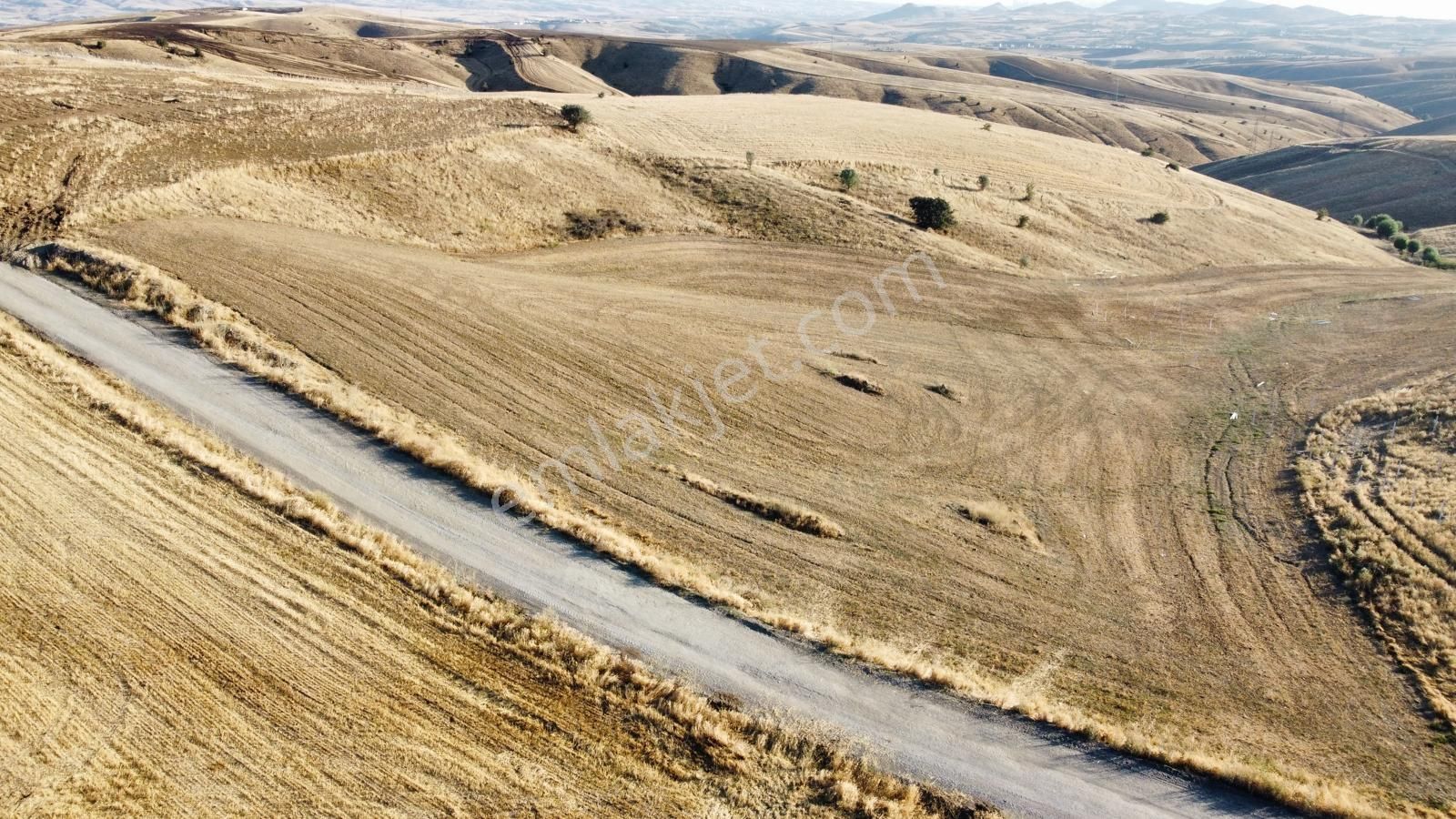 -*-teberik De Yol Kenarı Düzlük Te Kök Tapu Tarla-*- - Görsel 32