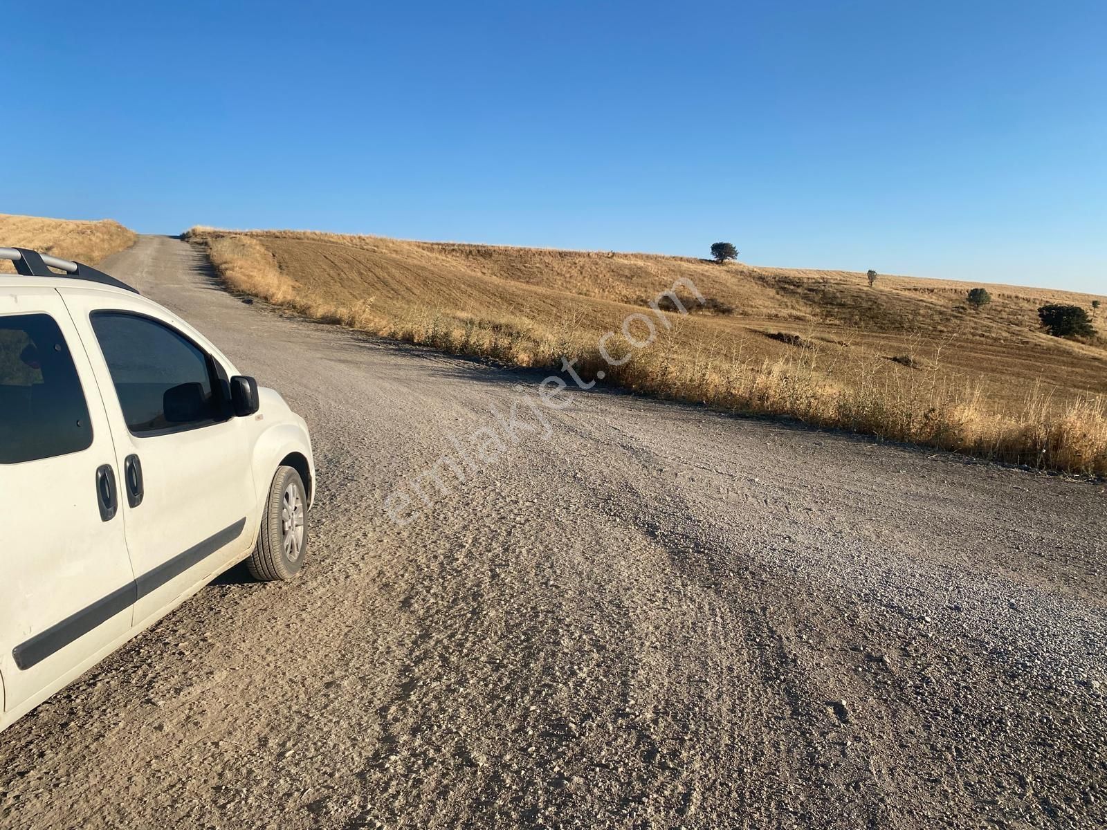 -*-teberik De Yol Kenarı Düzlük Te Kök Tapu Tarla-*- - Görsel 7