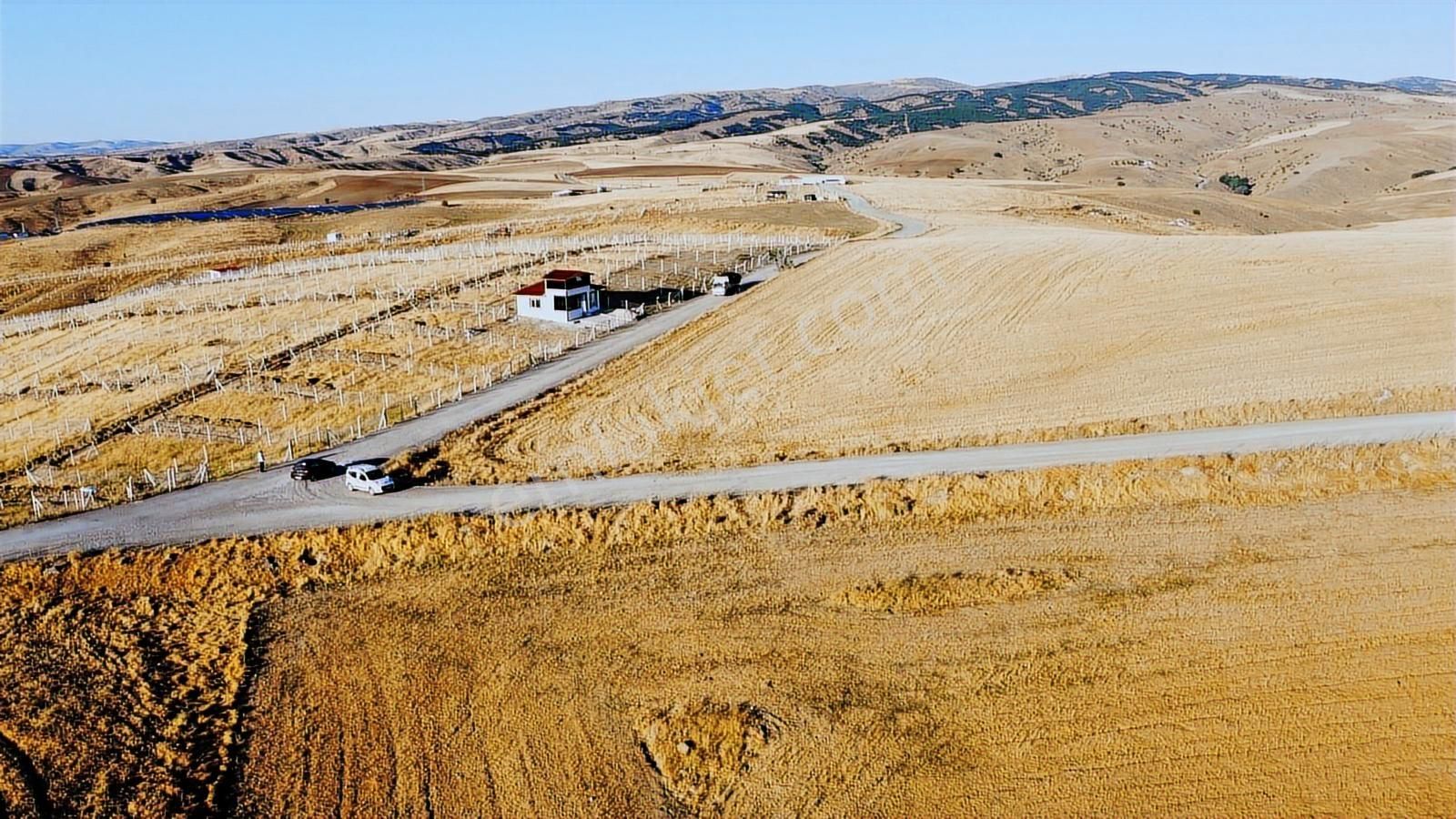 -*-teberik De Yol Kenarı Düzlük Te Kök Tapu Tarla-*- - Görsel 14
