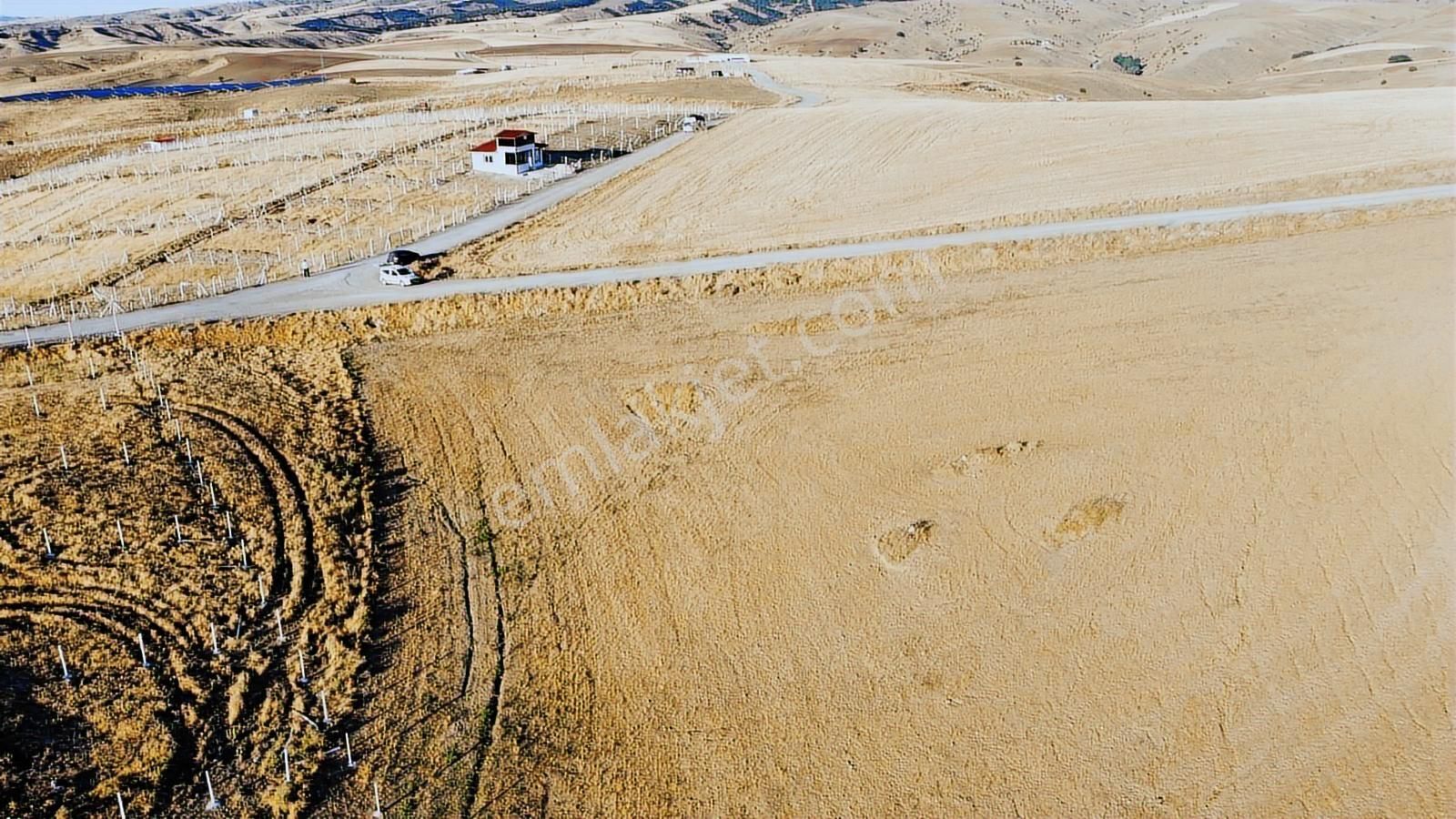-*-teberik De Yol Kenarı Düzlük Te Kök Tapu Tarla-*- - Görsel 15