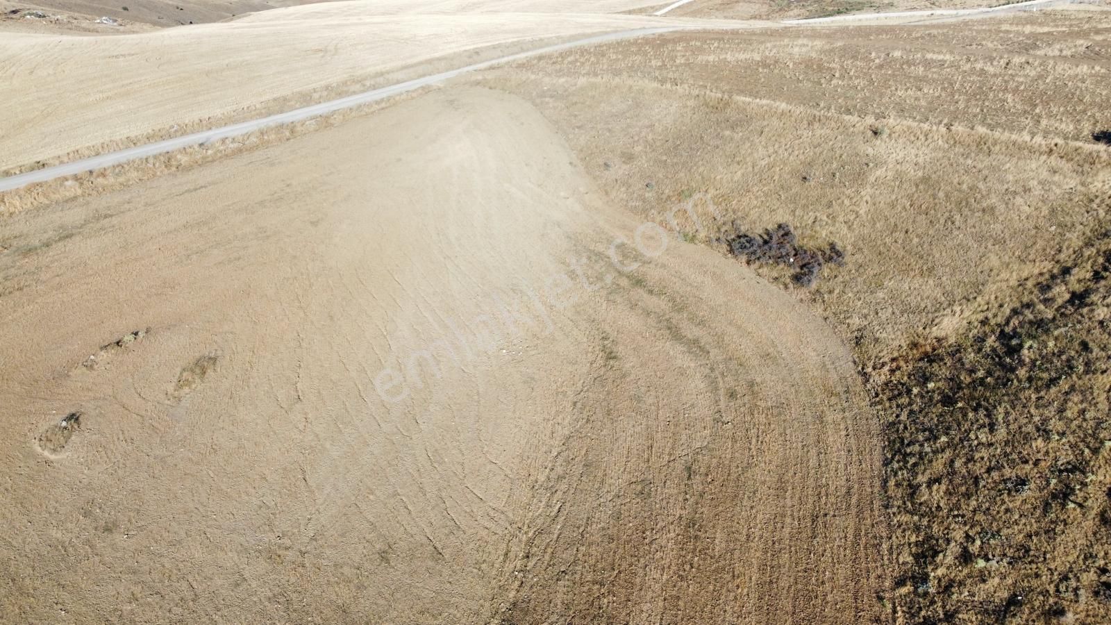 -*-teberik De Yol Kenarı Düzlük Te Kök Tapu Tarla-*- - Görsel 8