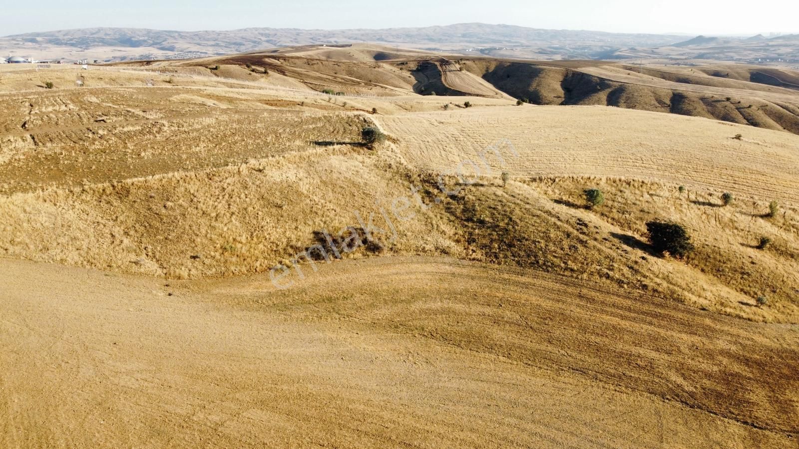 -*-teberik De Yol Kenarı Düzlük Te Kök Tapu Tarla-*- - Görsel 3