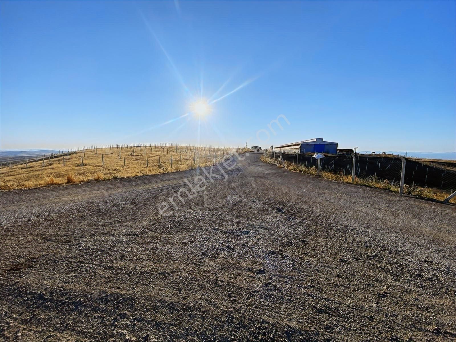 -*-teberik De Yol Kenarı Düzlük Te Kök Tapu Tarla-*- - Görsel 22