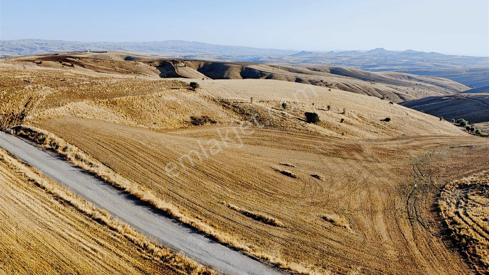 -*-teberik De Yol Kenarı Düzlük Te Kök Tapu Tarla-*- - Görsel 21