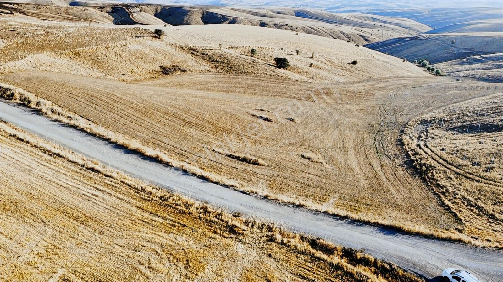-*-teberik De Yol Kenarı Düzlük Te Kök Tapu Tarla-*- - Görsel 31