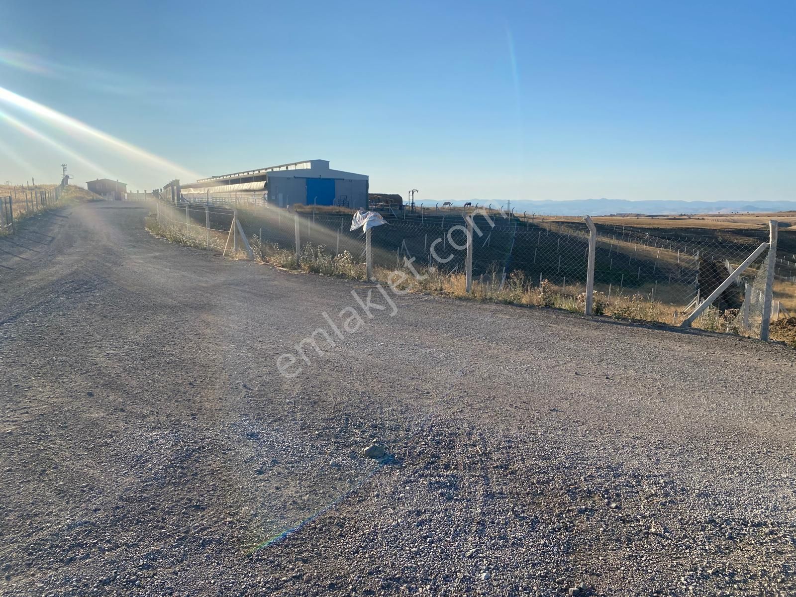 -*-teberik De Yol Kenarı Düzlük Te Kök Tapu Tarla-*- - Görsel 17