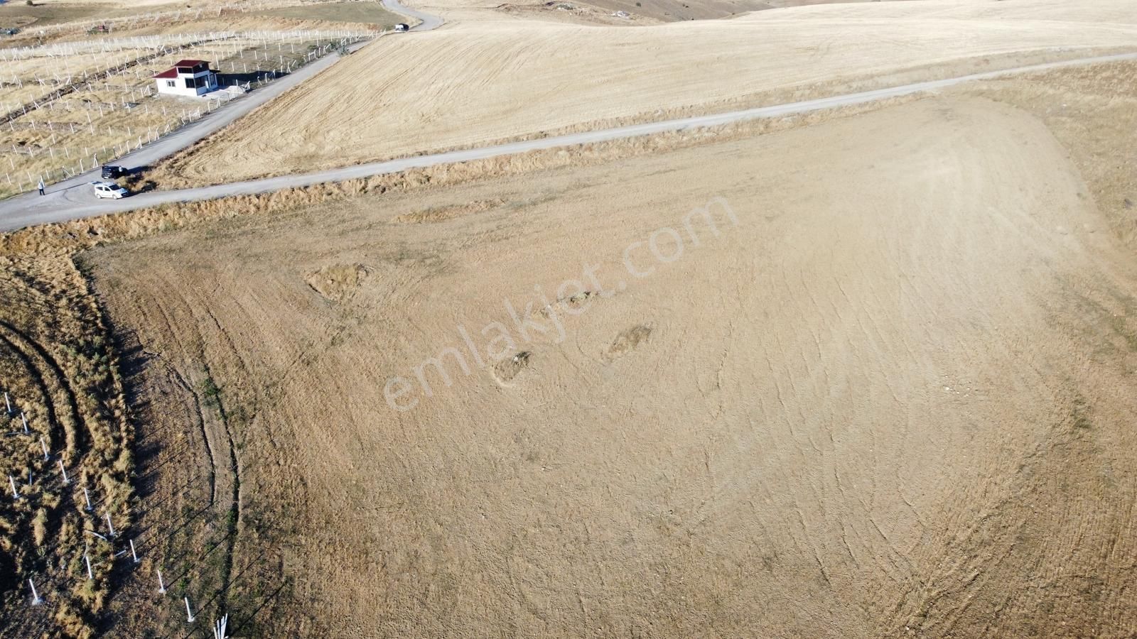 -*-teberik De Yol Kenarı Düzlük Te Kök Tapu Tarla-*- - Görsel 16