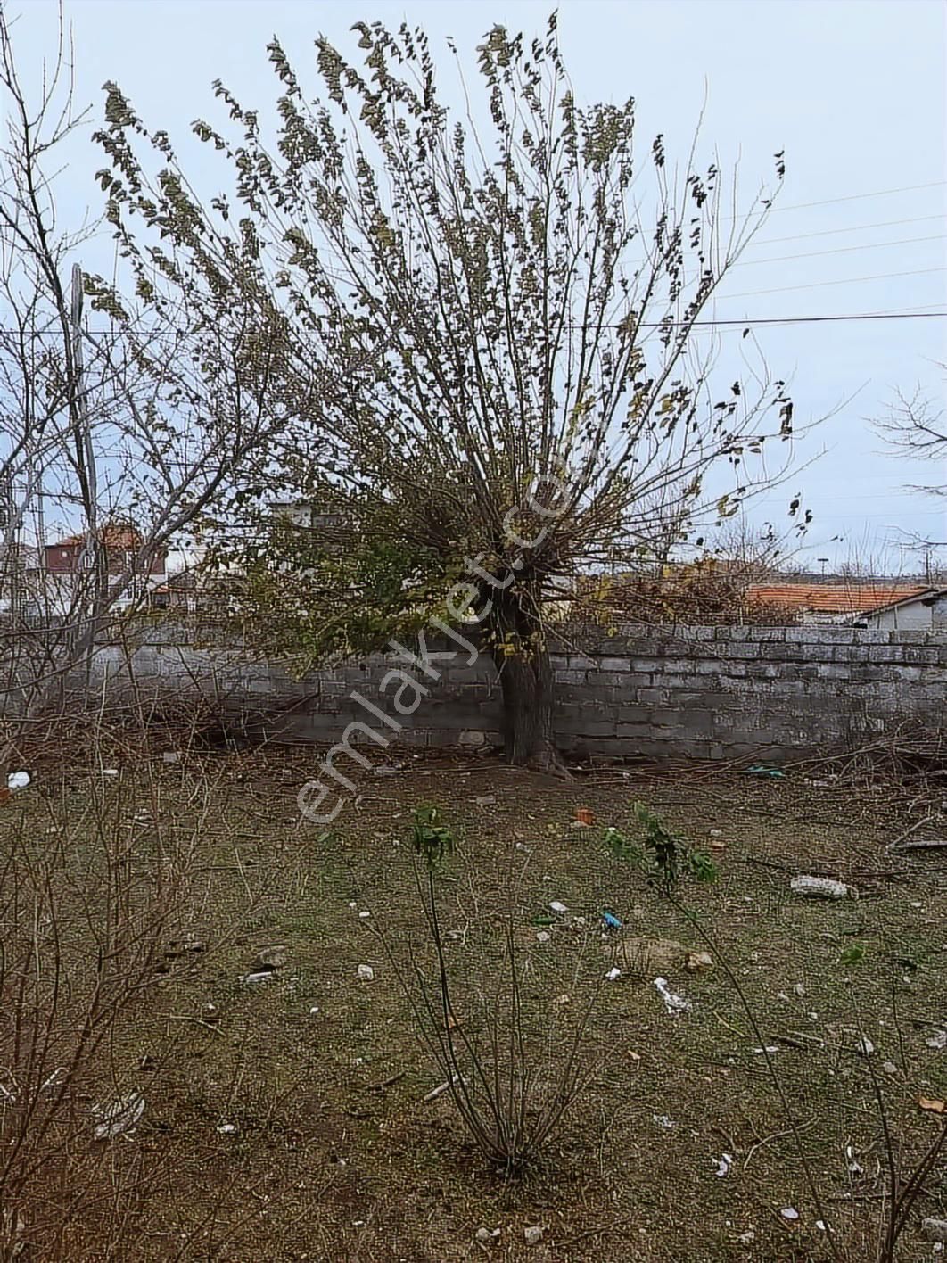 Enez Vakıf Köyünde,köy İçinde,1363m2 İmarlı Satılık Arsa - Görsel 12