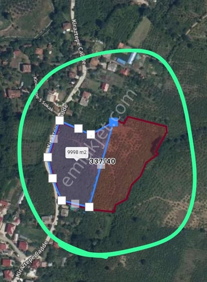 !!! Terme Fırsat 9.998 Dönüm İmarlı Parsellenmiş Arsa !!! - Görsel 3