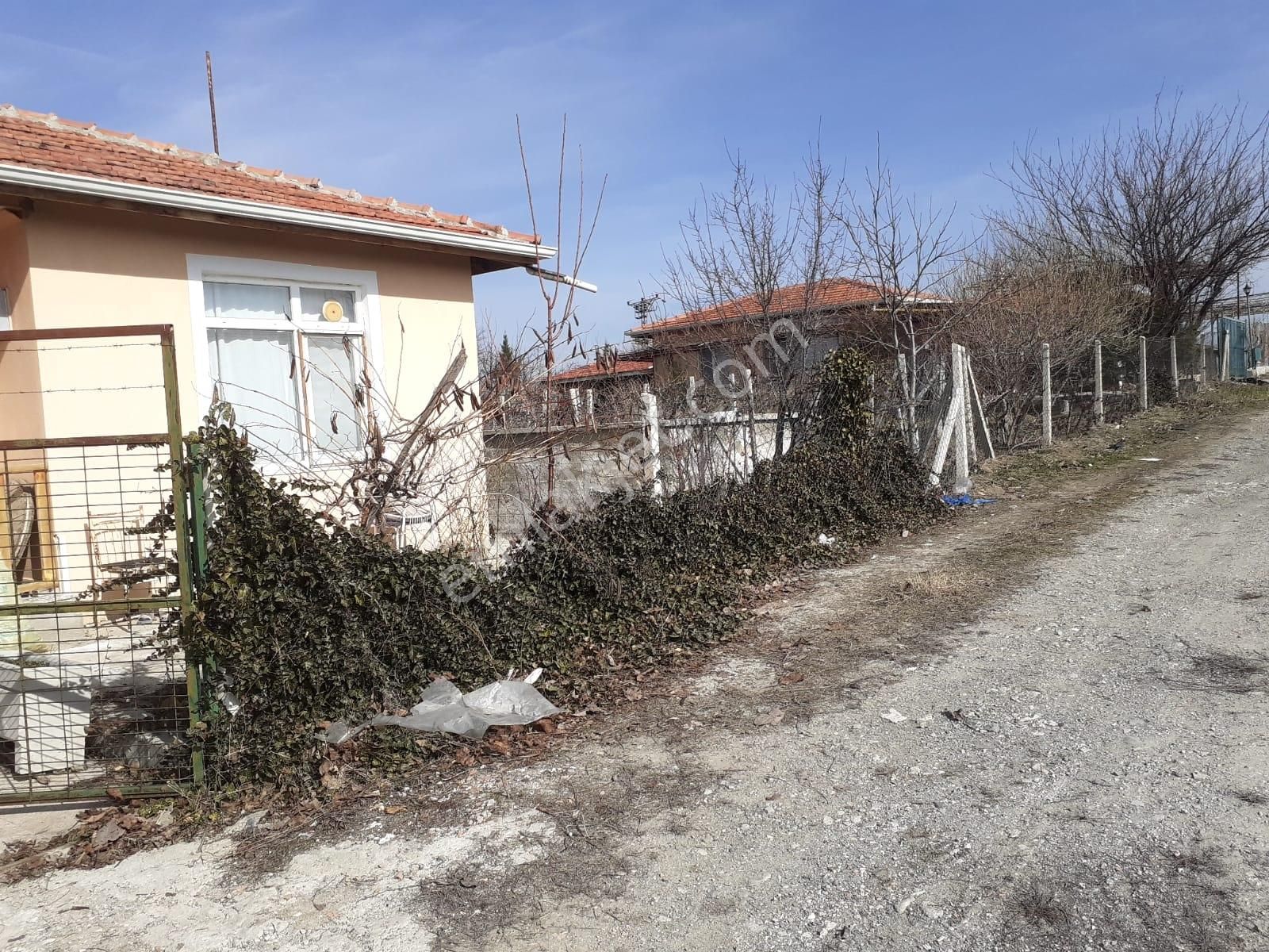 Paşa Köyde Satılık Bağ - Görsel 3