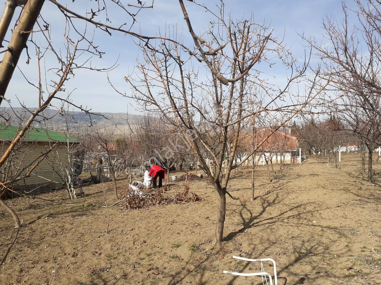 Paşa Köyde Satılık Bağ - Görsel 11