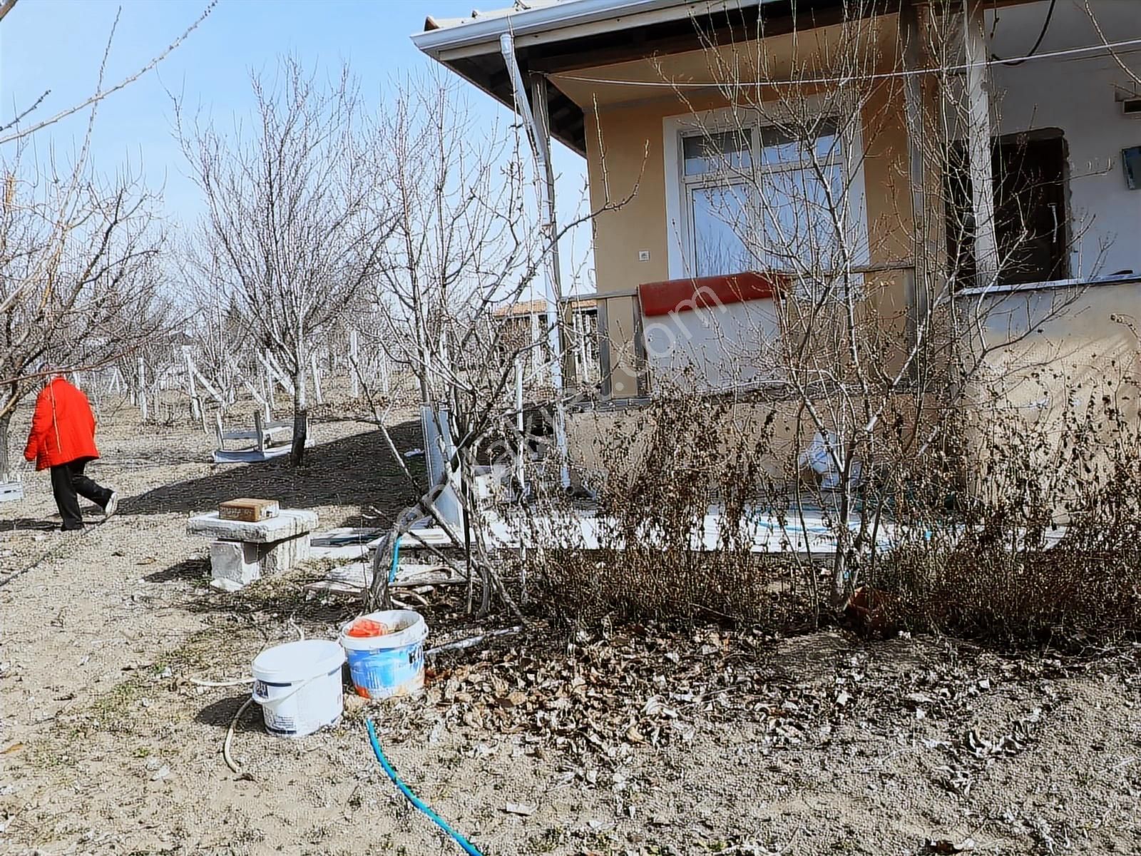 Paşa Köyde Satılık Bağ