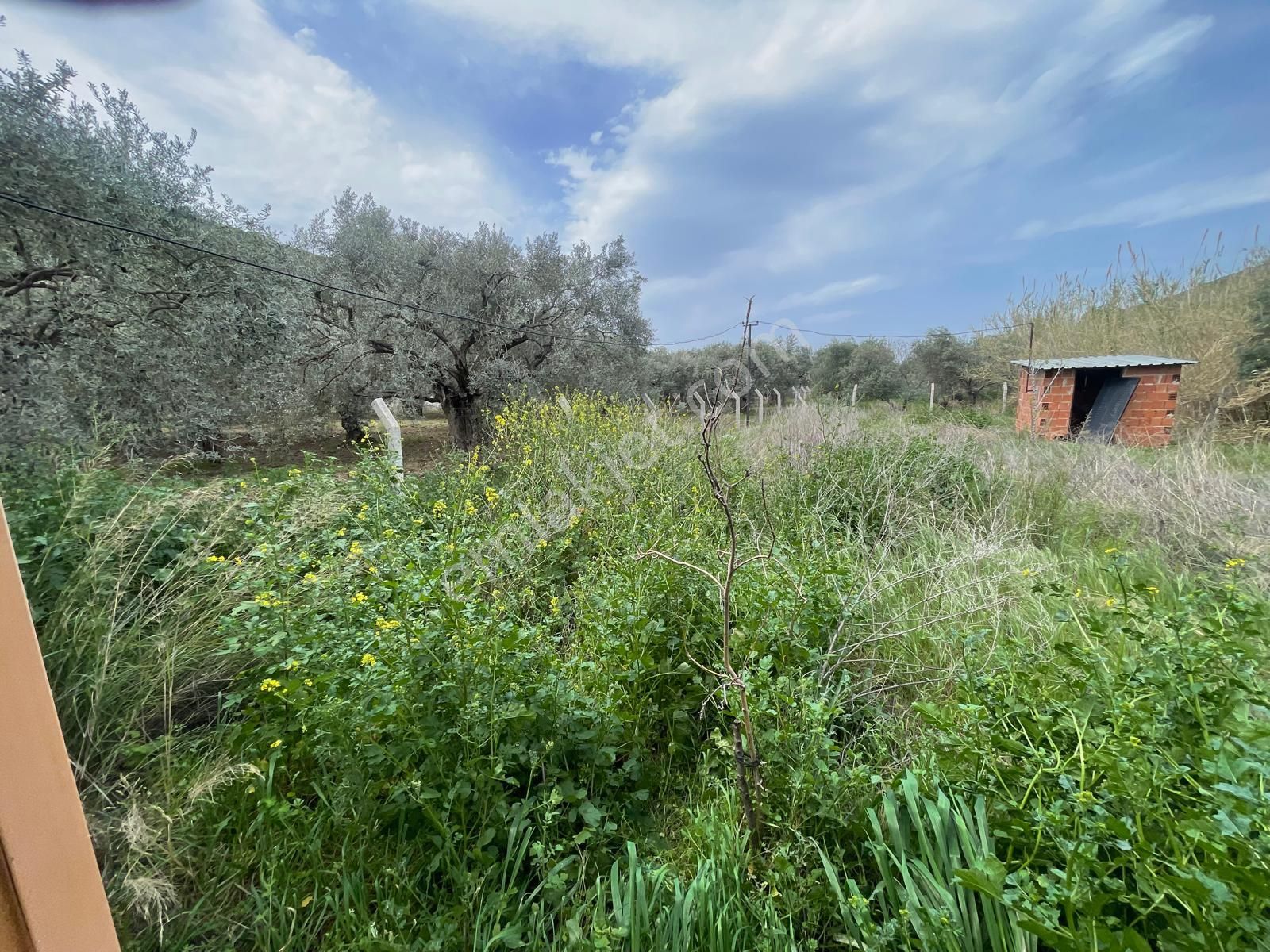Kuştur Mevkiinde Yatırıma Uygun 648 M² Tarla - Görsel 4