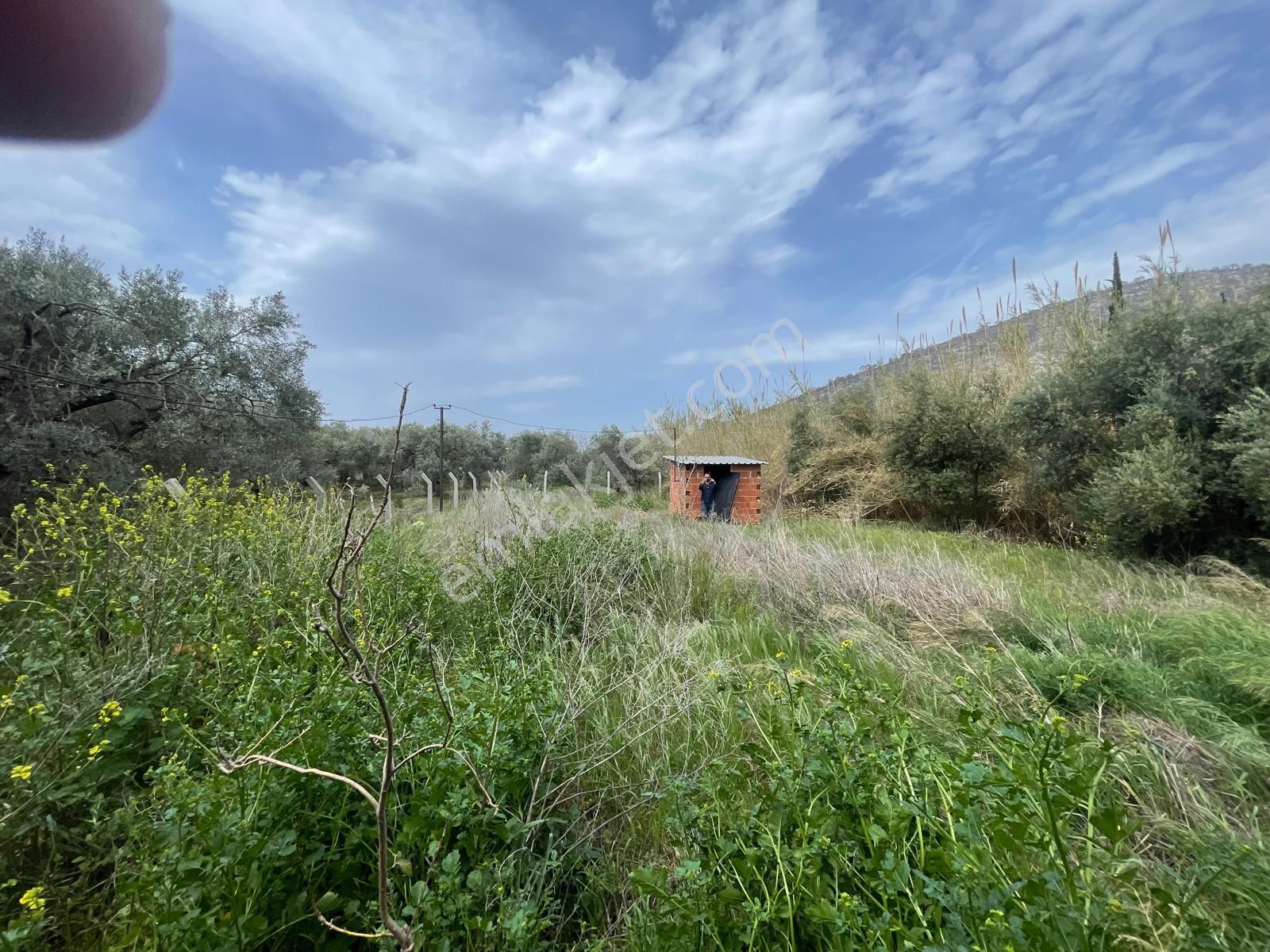 Kuştur Mevkiinde Yatırıma Uygun 648 M² Tarla - Görsel 2