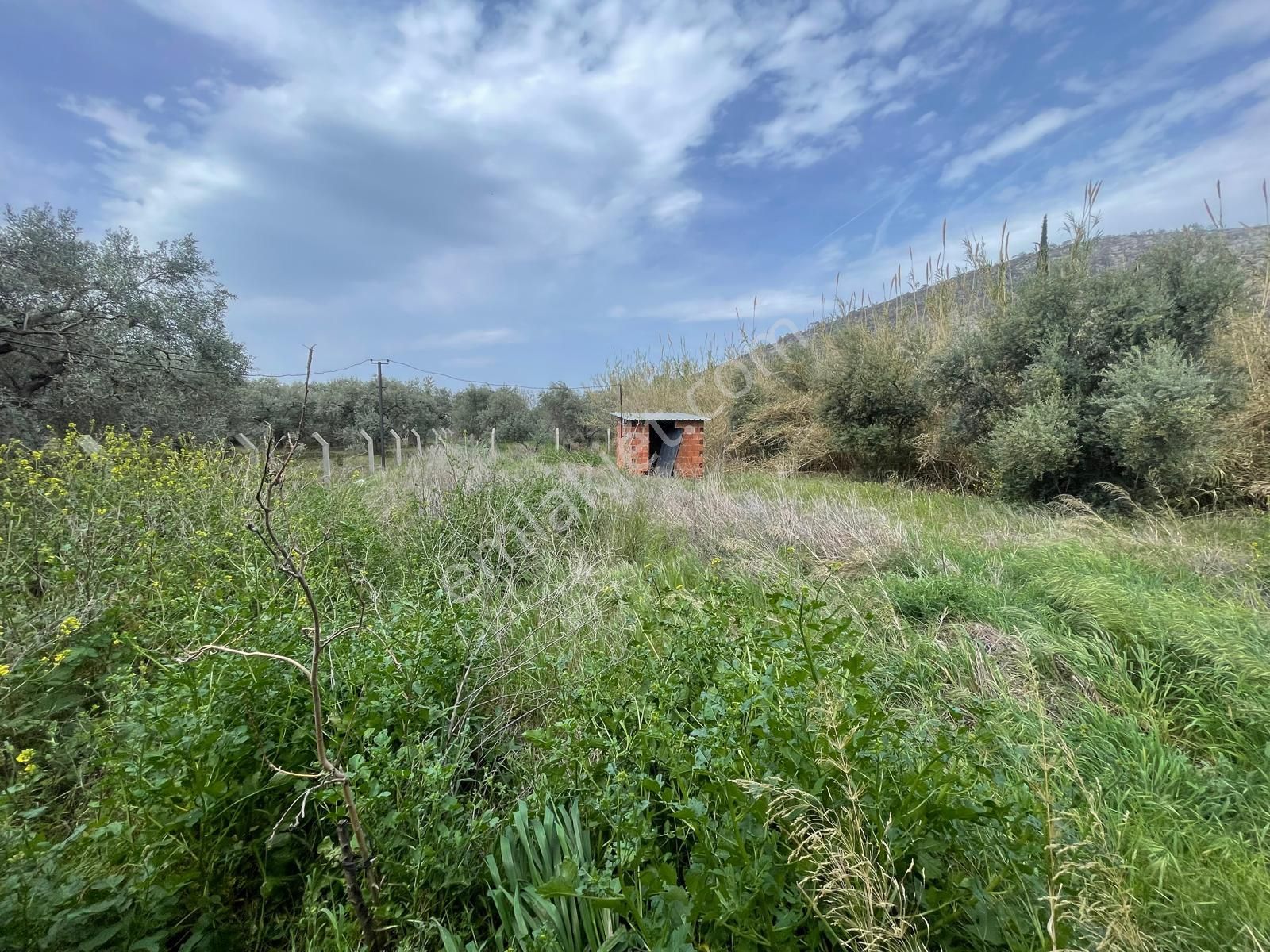 Kuştur Mevkiinde Yatırıma Uygun 648 M² Tarla - Görsel 3