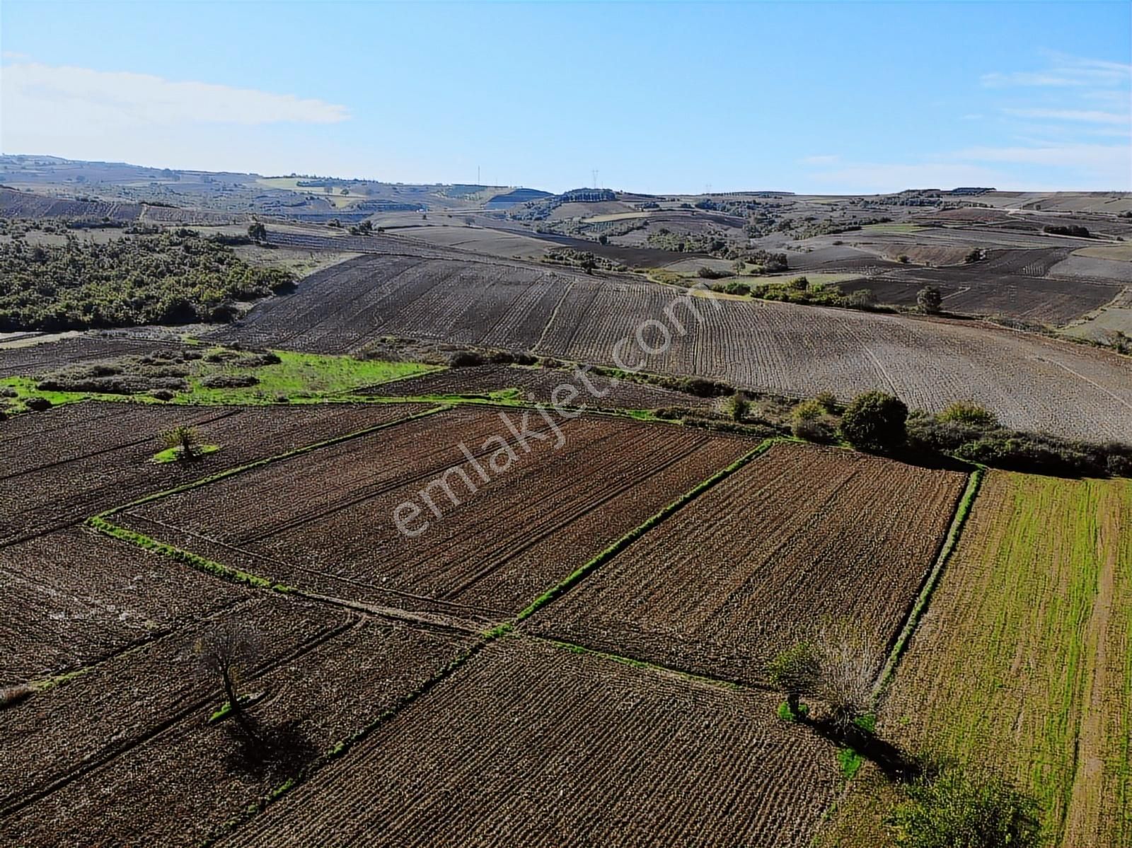Lookhause Subaşı Mah. Satılık Müstakil 760m² Tarla - Görsel 2