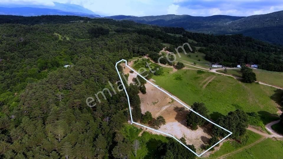 Atlas'da Bir Tarafı Orman Bir Tarafı Yol 1819m² Muhteşem Bahçe - Görsel 6