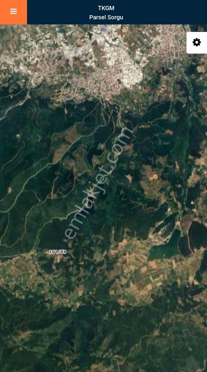 Atlas'da Bir Tarafı Orman Bir Tarafı Yol 1819m² Muhteşem Bahçe - Görsel 2