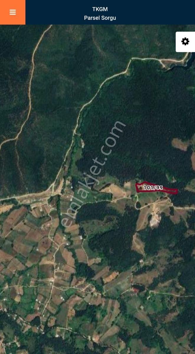 Atlas'da Bir Tarafı Orman Bir Tarafı Yol 1819m² Muhteşem Bahçe - Görsel 8