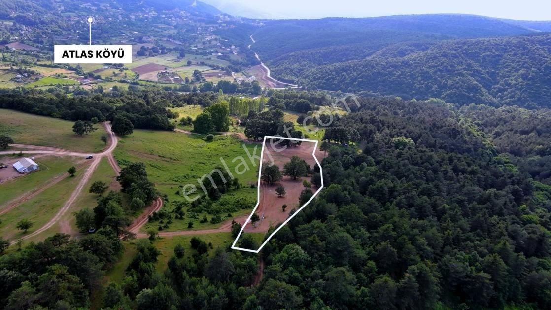 Atlas'da Bir Tarafı Orman Bir Tarafı Yol 1819m² Muhteşem Bahçe - Görsel 4