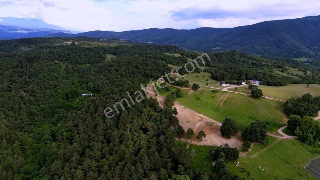 Atlas'da Bir Tarafı Orman Bir Tarafı Yol 1819m² Muhteşem Bahçe - Görsel 9