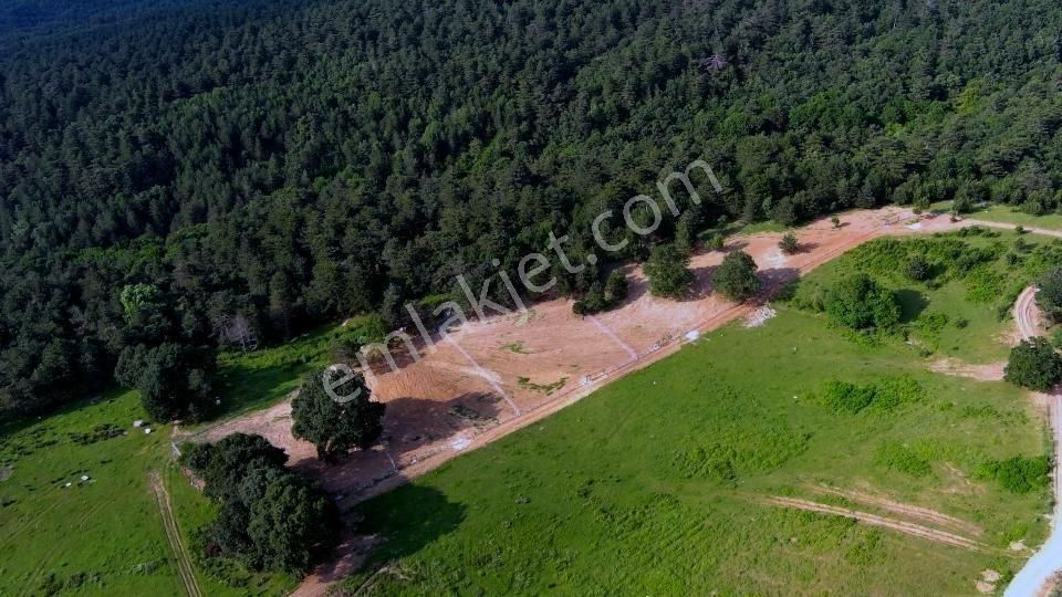 Atlas'da Bir Tarafı Orman Bir Tarafı Yol 1819m² Muhteşem Bahçe - Görsel 11