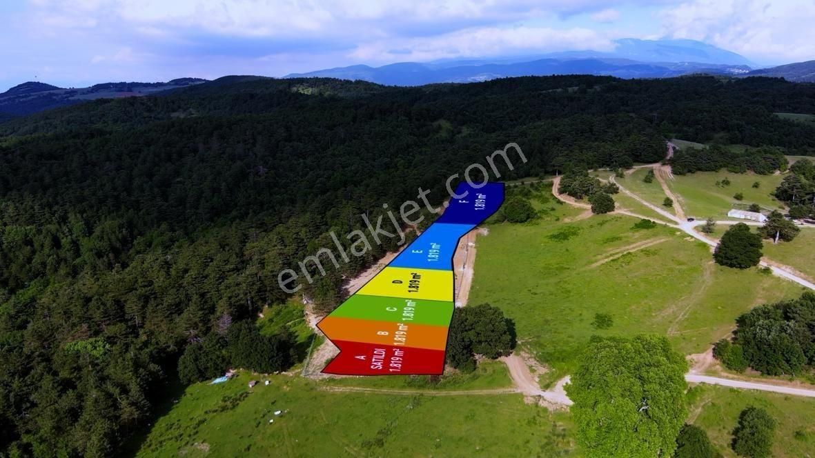 Atlas'da Bir Tarafı Orman Bir Tarafı Yol 1819m² Muhteşem Bahçe - Görsel 10