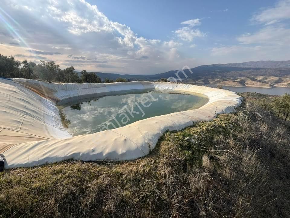 Tc Emlaktan Satılık 70 Dönüm Zeytinlik ! Elekktrik Su - Görsel 2