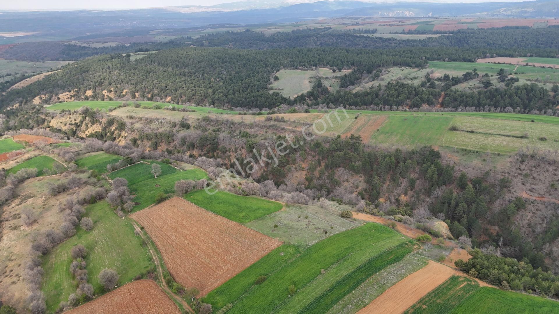 Konya / Doğanhisar / Kemer Mahallesinde 1.035 M² Müstakil Tapulu Tarla - Görsel 6