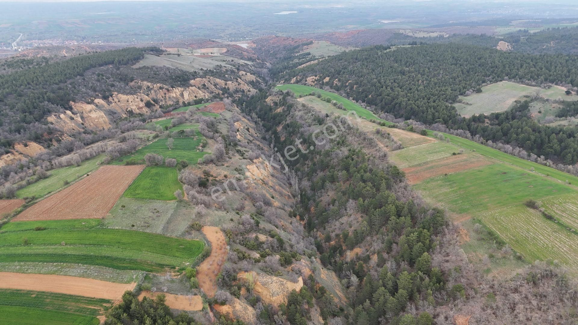 Konya / Doğanhisar / Kemer Mahallesinde 1.035 M² Müstakil Tapulu Tarla - Görsel 2