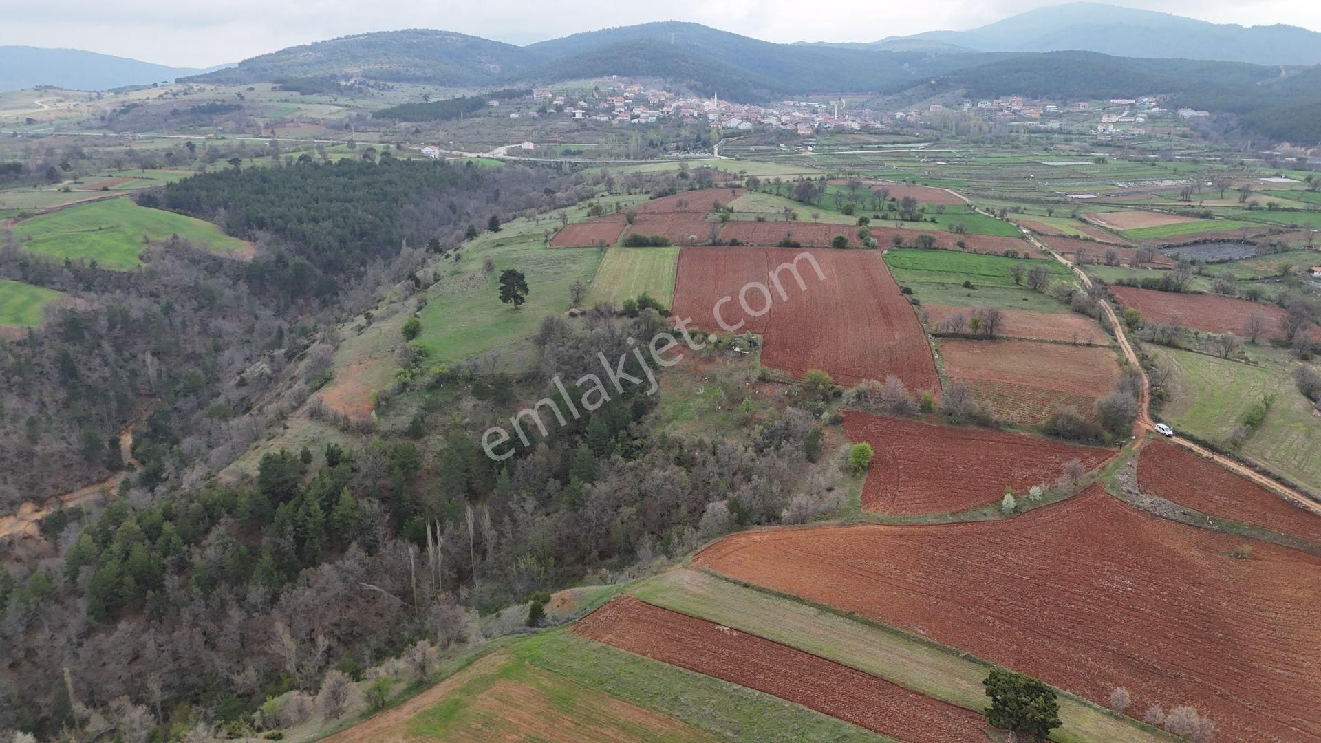 Konya / Doğanhisar / Kemer Mahallesinde 1.047 M² Müstakil Tapulu Tarla