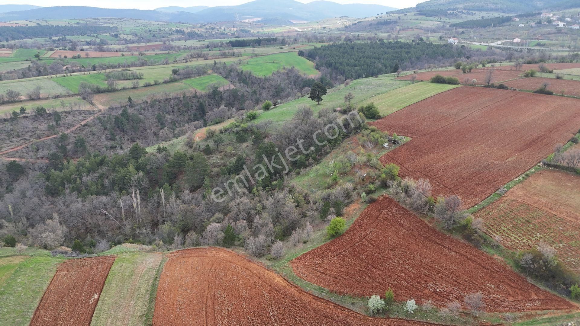 Konya / Doğanhisar / Kemer Mahallesinde 1.047 M² Müstakil Tapulu Tarla - Görsel 2