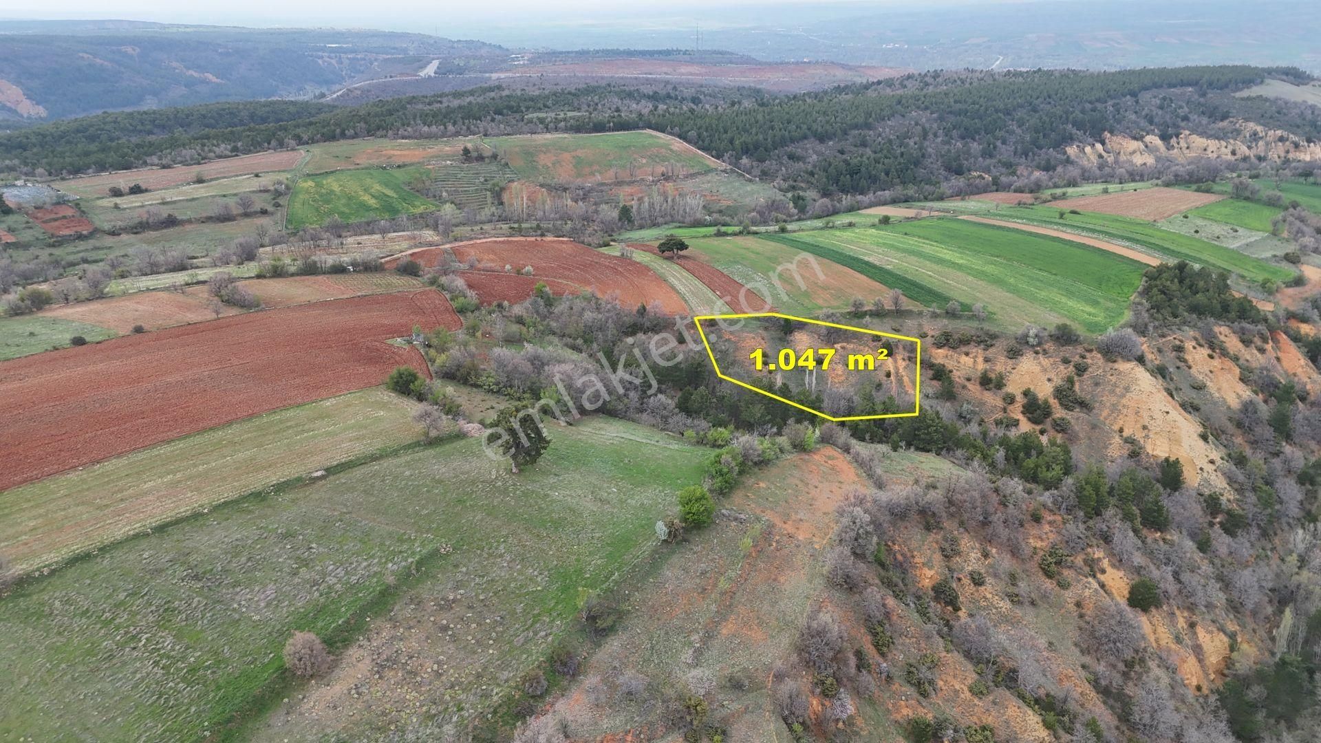 Konya / Doğanhisar / Kemer Mahallesinde 1.047 M² Müstakil Tapulu Tarla - Görsel 6