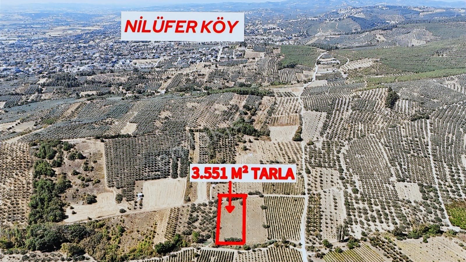 Lookhause Nilüferköy'de 3.551 M2 Tek Tapu Satılık Tarla