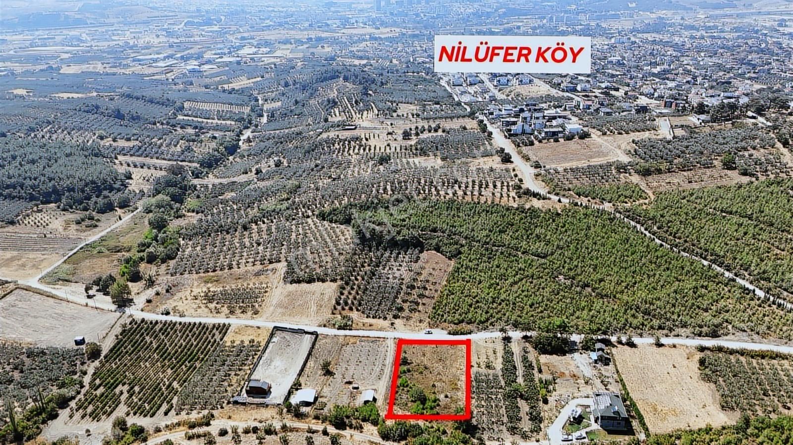 Lookhause Gelecege Bir Adam Öndesin Nilüfer Köy Satılık Tarla - Görsel 2