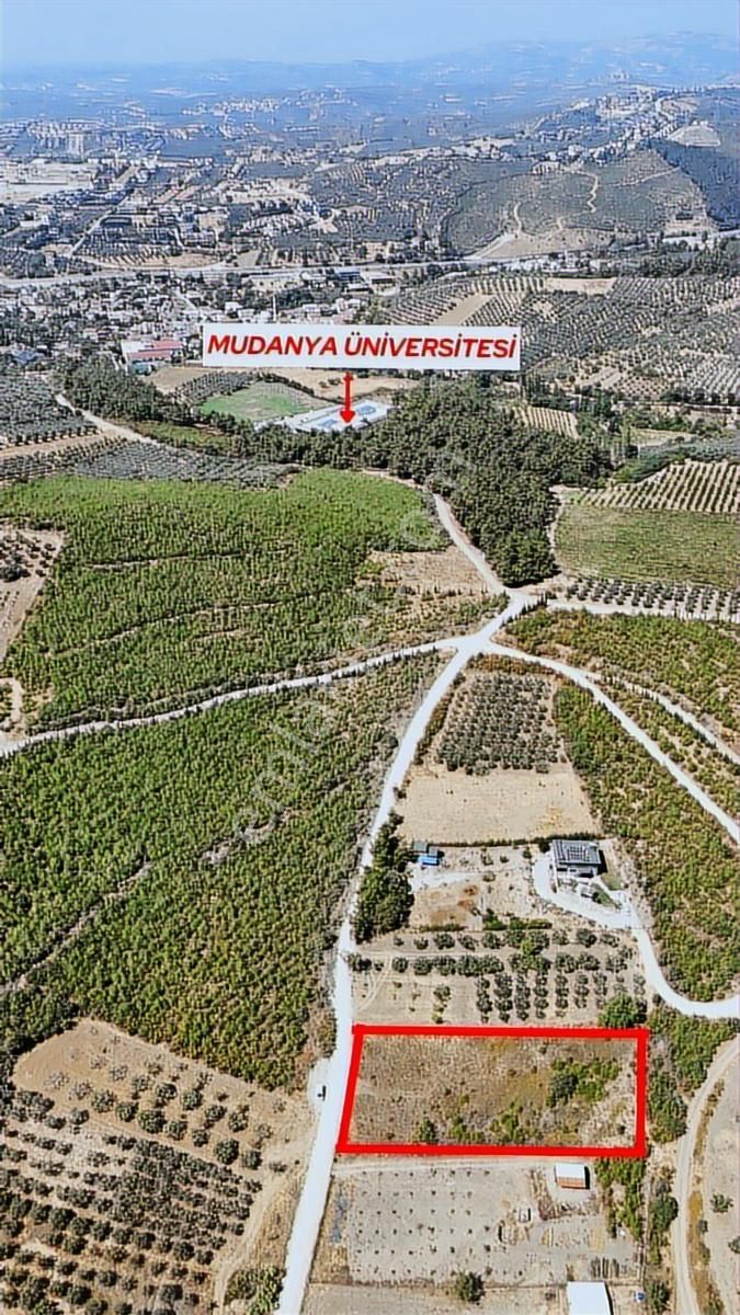 Lookhause Gelecege Bir Adam Öndesin Nilüfer Köy Satılık Tarla - Görsel 3