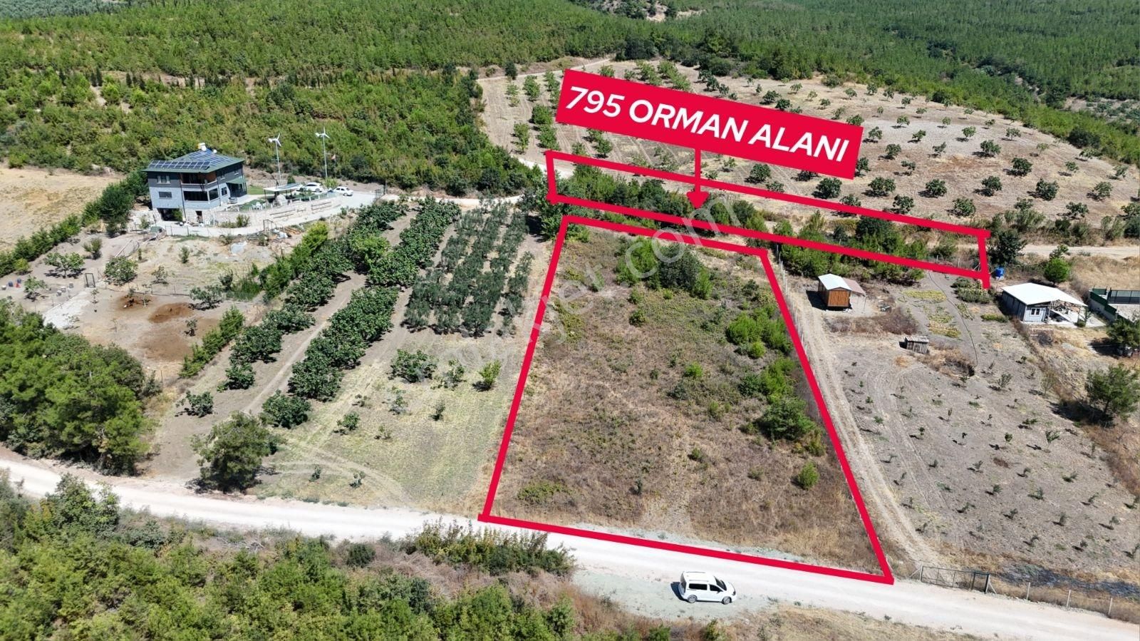 Lookhause Gelecege Bir Adam Öndesin Nilüfer Köy Satılık Tarla - Görsel 4
