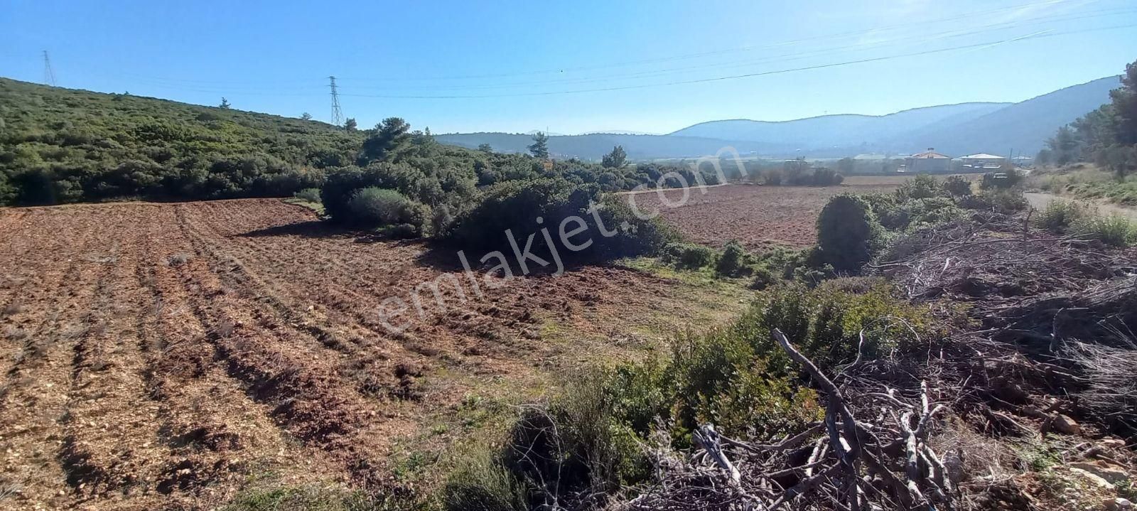Urla Nohutalan'da Satılık Geniş Yol Cepheli Tarla - Görsel 9