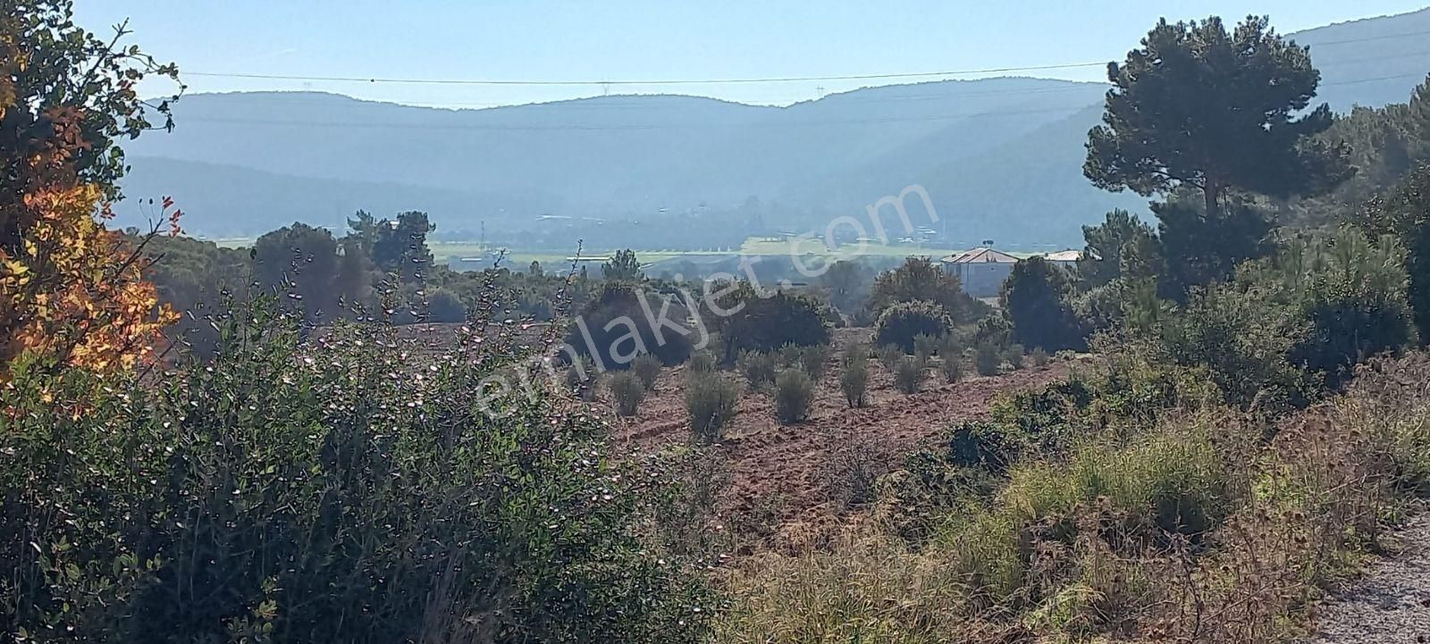 Urla Nohutalan'da Satılık Geniş Yol Cepheli Tarla - Görsel 18