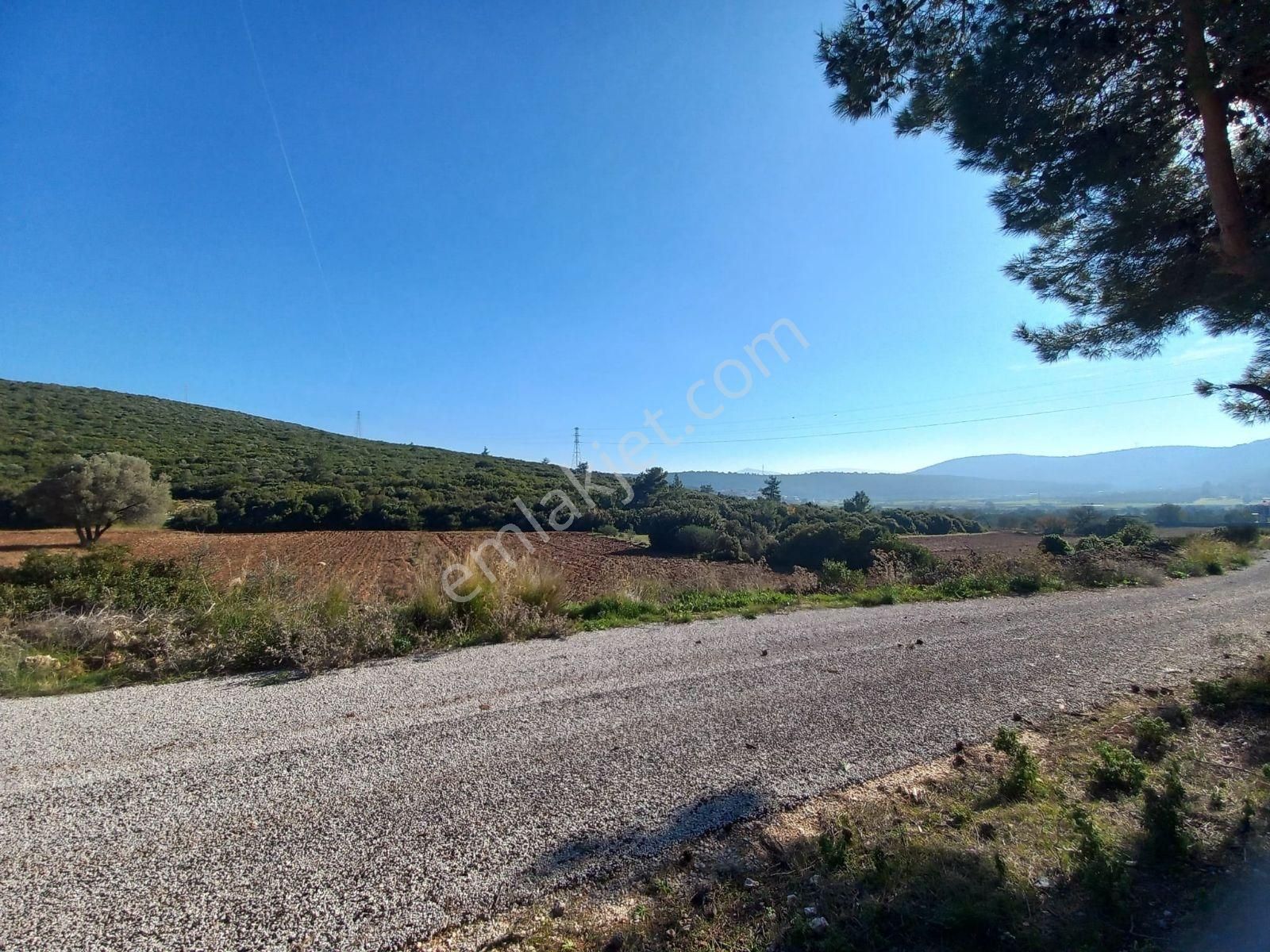 Urla Nohutalan'da Satılık Geniş Yol Cepheli Tarla - Görsel 11