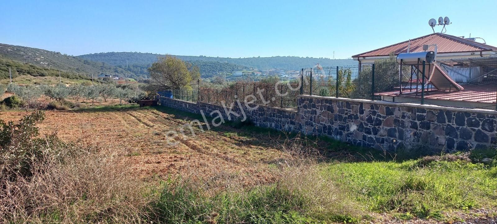 Urla Nohutalan'da Satılık Geniş Yol Cepheli Tarla - Görsel 7