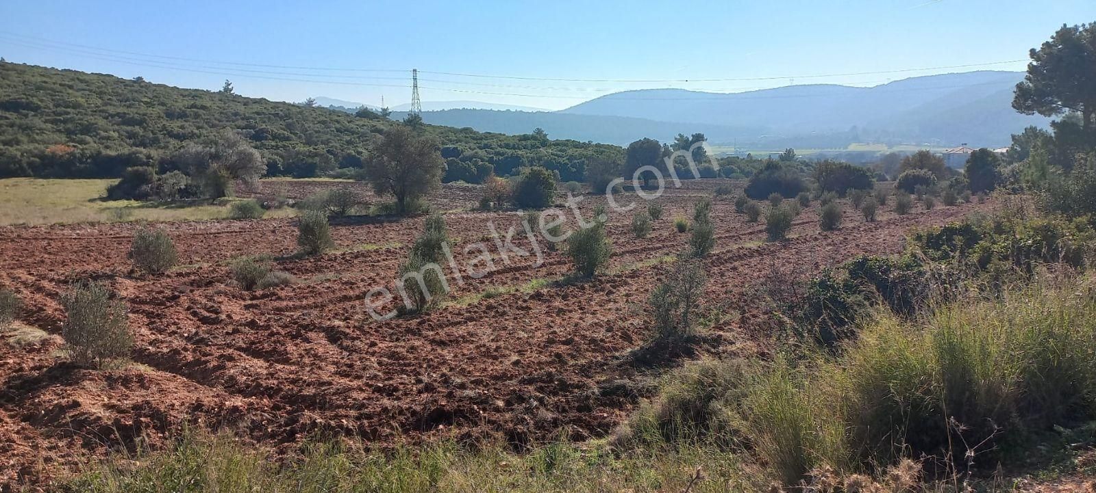 Urla Nohutalan'da Satılık Geniş Yol Cepheli Tarla - Görsel 16