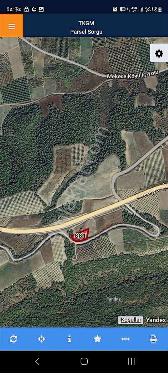 Pamukova Mekecede Bakımlı Zeytinlik - Görsel 19